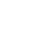 Alpine Eagle logo