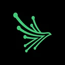 Black Kite logo