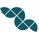 Deep Fission logo