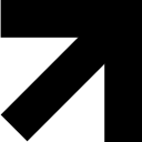 Evanium logo