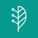 Lindera logo