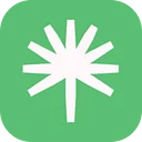 Palmstreet logo