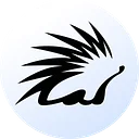 Spiko Paris, France logo