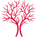 Tensive logo