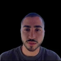 Ali Ansari