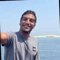 Ali Labib