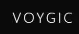 Voygic logo