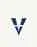 Veridian Health logo
