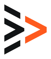 Ternion Security logo