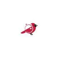 Cardinal Action Cams logo