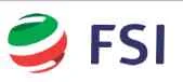 FSI logo