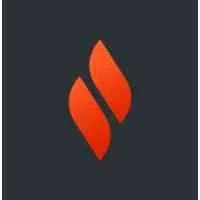 Torch Systems logo