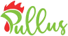 Pullus Africa logo
