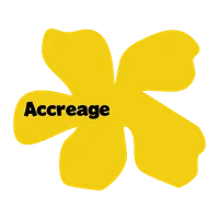 Accerage logo