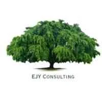 EJY Consulting logo