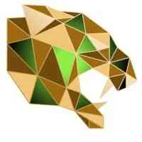 Savage Exploration logo