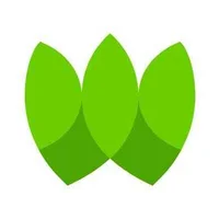 Wio Capital logo