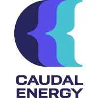 Caudal Energy logo