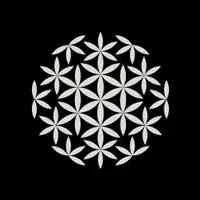 ReForest Latam logo