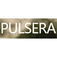 Pulsera logo