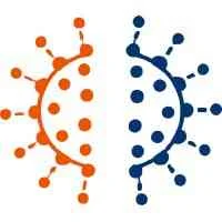 ImmuNovus logo