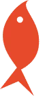 SHELSKY'S logo