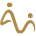 Anees Health logo